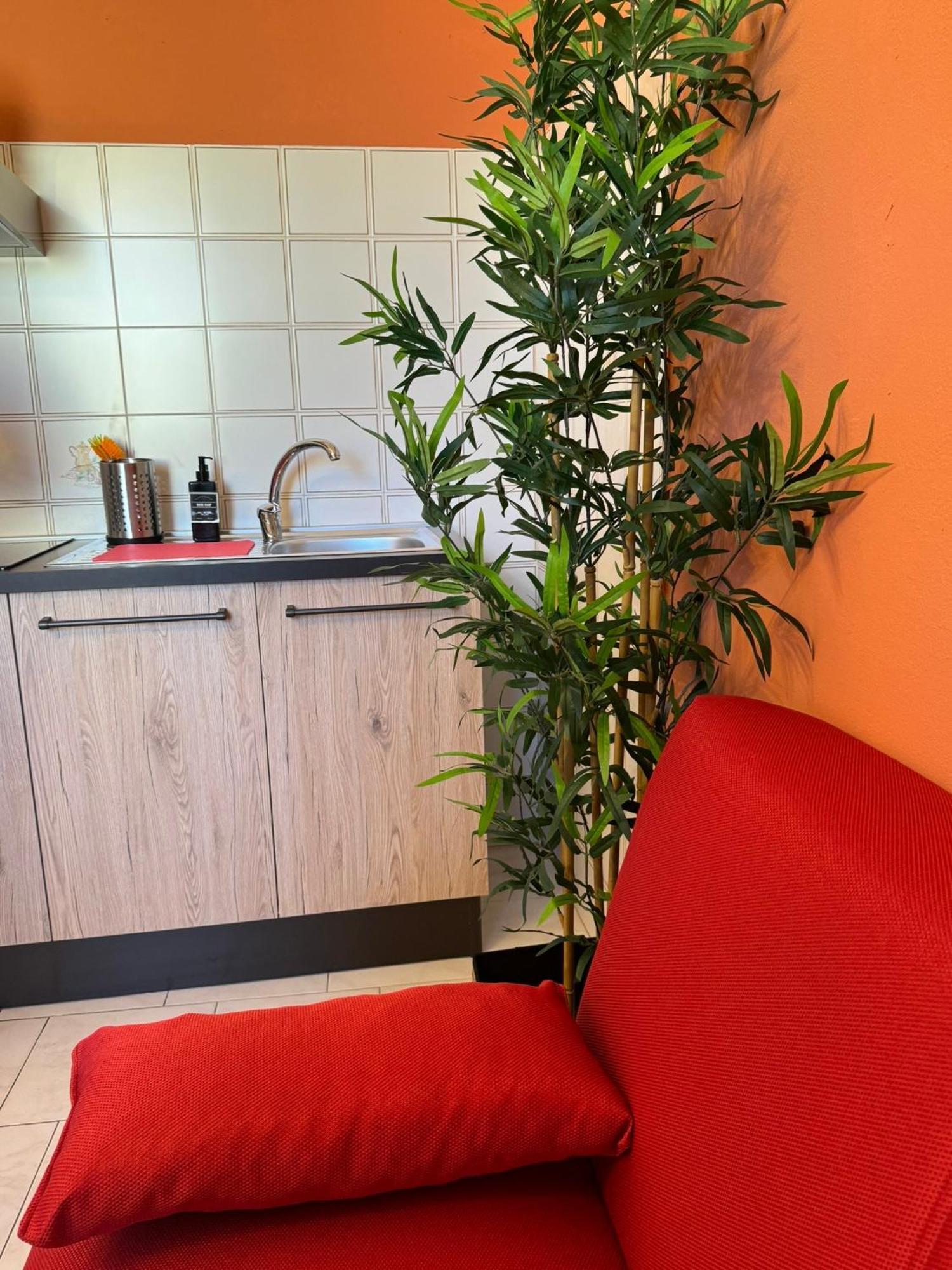 Colben Tuscany Home - Il Mare Dalla Finestra Nell'Atmosfera Tipica Livornese Livorno Zewnętrze zdjęcie